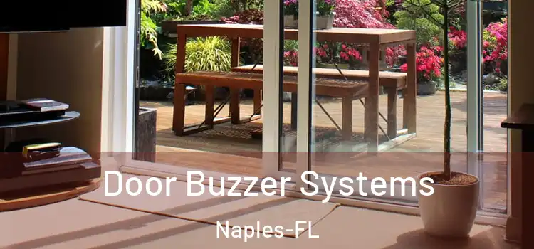 Door Buzzer Systems Naples-FL
