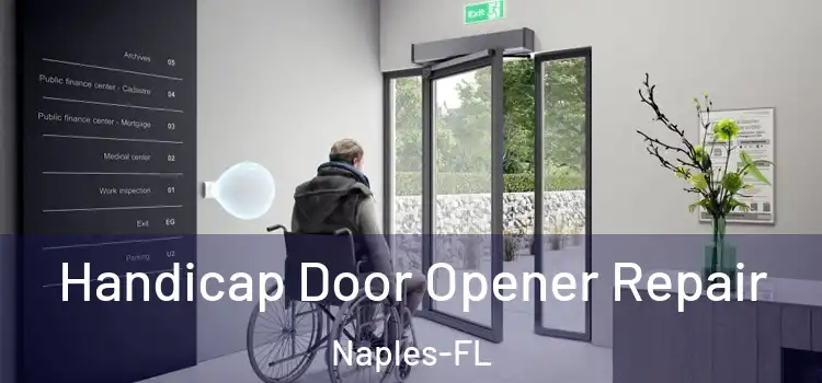 Handicap Door Opener Repair Naples-FL