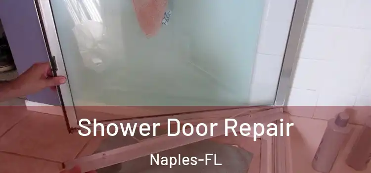 Shower Door Repair Naples-FL
